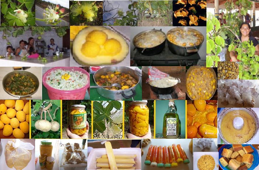 Como plantar guabiroba: a fruta rica em vitamina C - Revista Globo